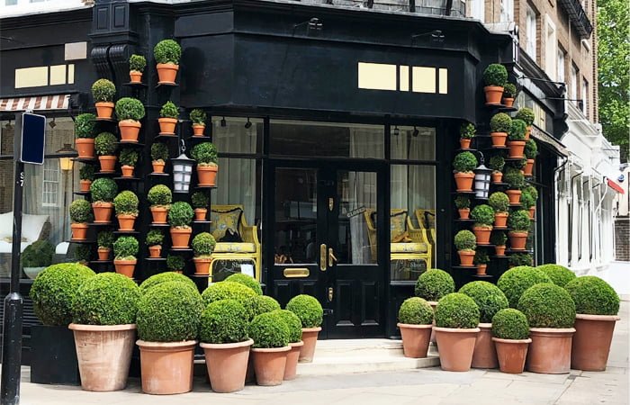 Small Garden Planters